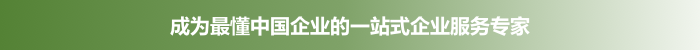 企业综合服务p.png